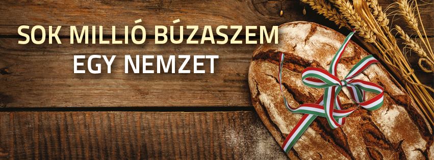  Magyarok kenyere - 15 millió búzaszem  episode artwork