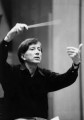 V__s__ry_conductor.jpg