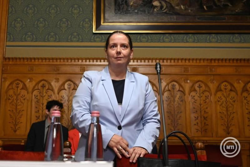 Unger Annát jelölték az NVVH élére