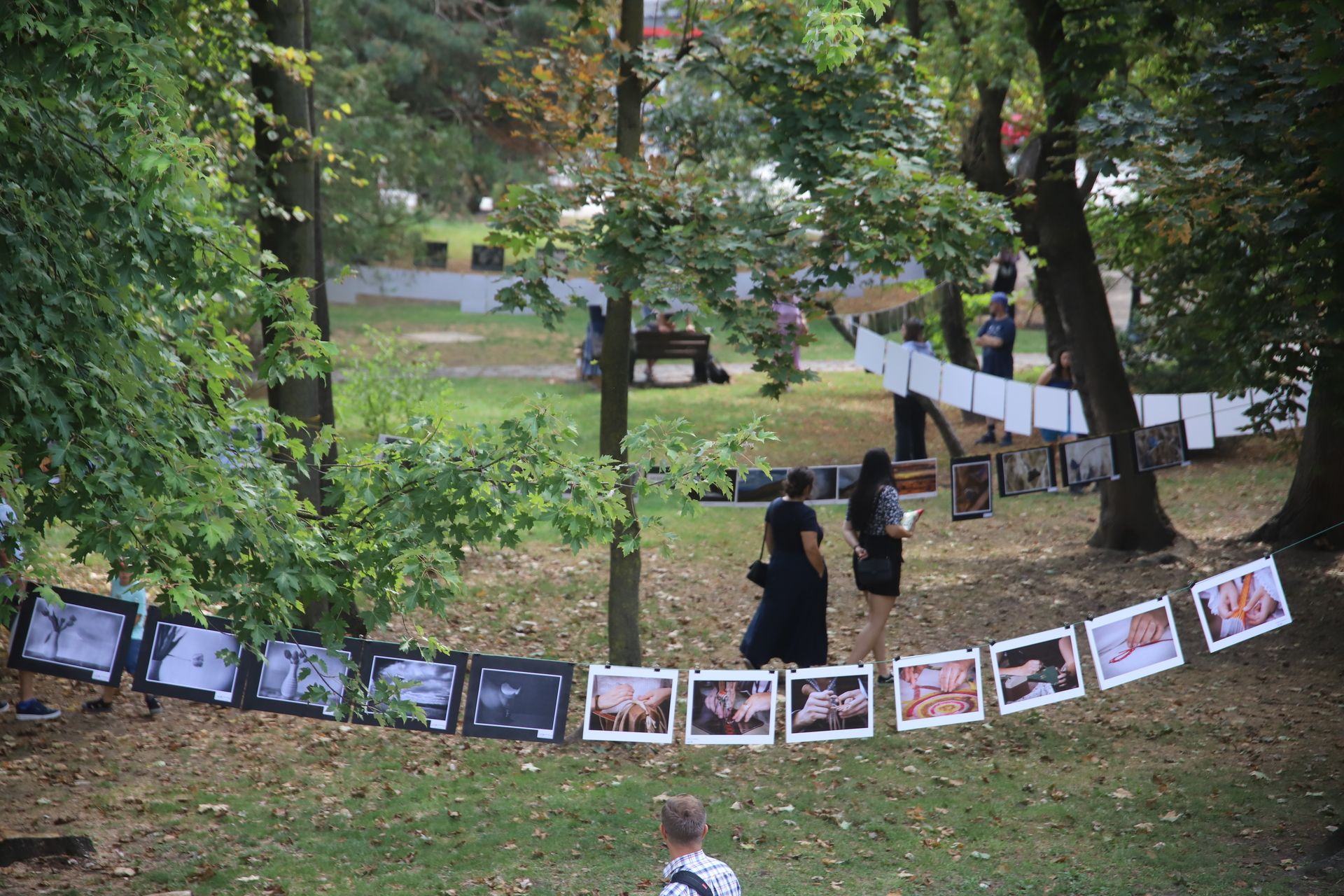 A Magyar Fotográfia Napján több mint 100 fotós mutatta be fényképeit Sepsiszentgyörgyön